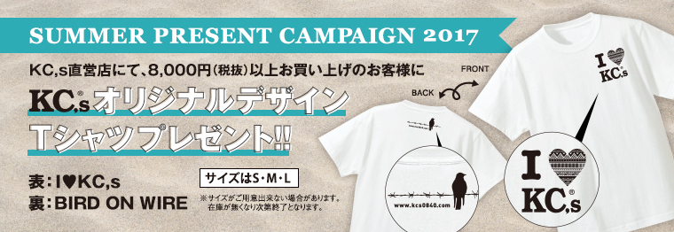 2017summercampaign blogimage